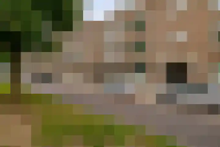 Lange Hilleweg 67 B Rotterdam thumbnail 6