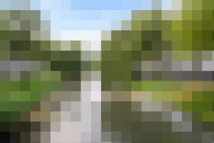Lange Hilleweg 72 C Rotterdam thumbnail 32