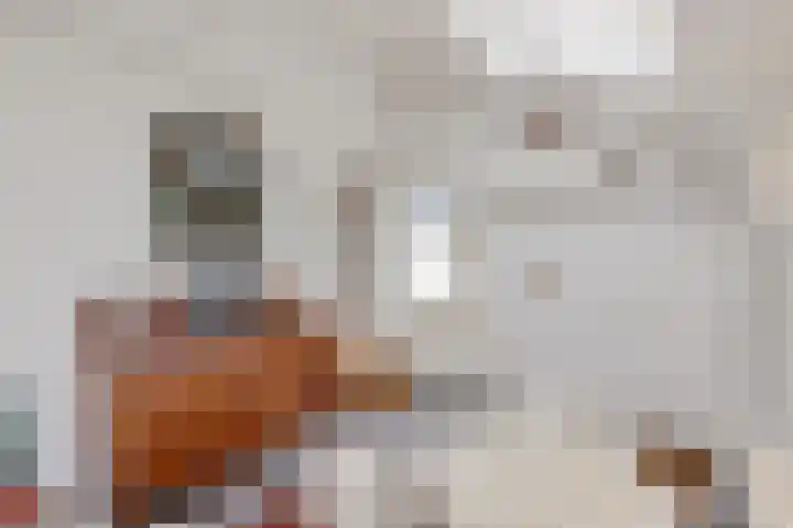 Lange Hoek 1 Elahuizen thumbnail 21
