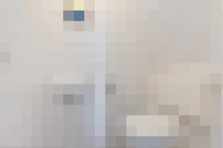 Lange Hoek 1 Elahuizen thumbnail 23