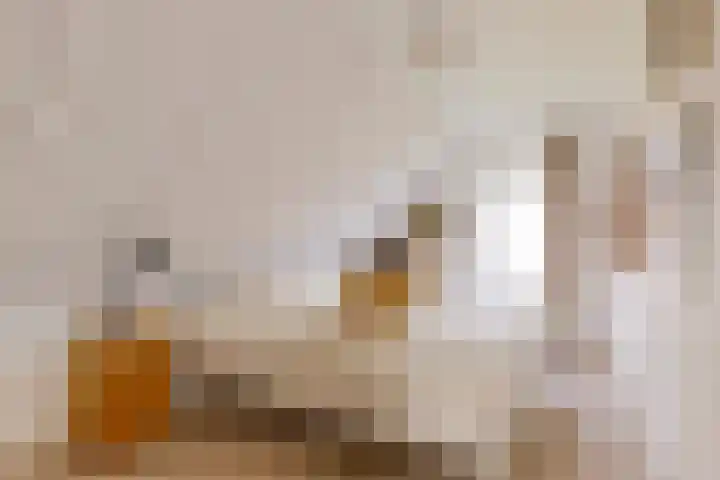 Lange Hoek 1 Elahuizen thumbnail 27