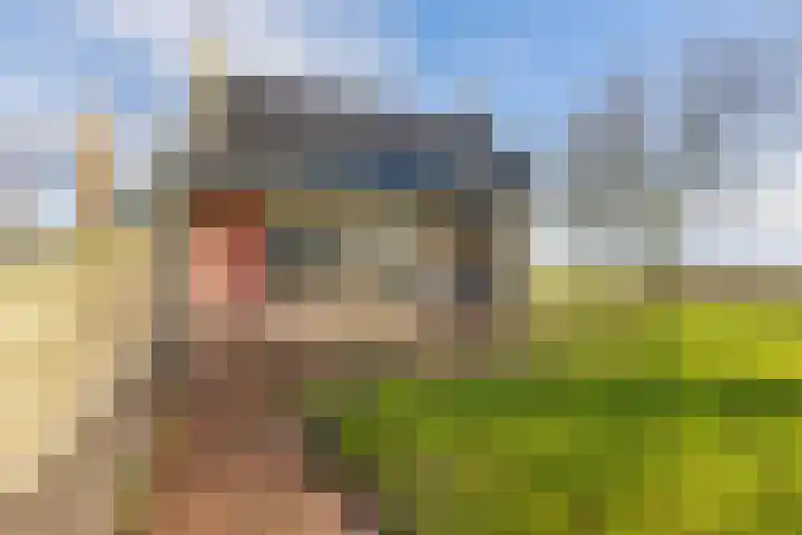 Lange Hoek 1 Elahuizen thumbnail 35