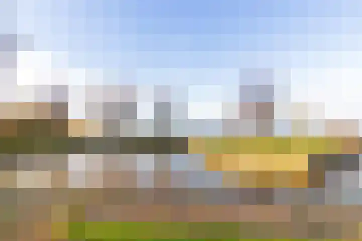 Lange Hoek 1 Elahuizen thumbnail 42