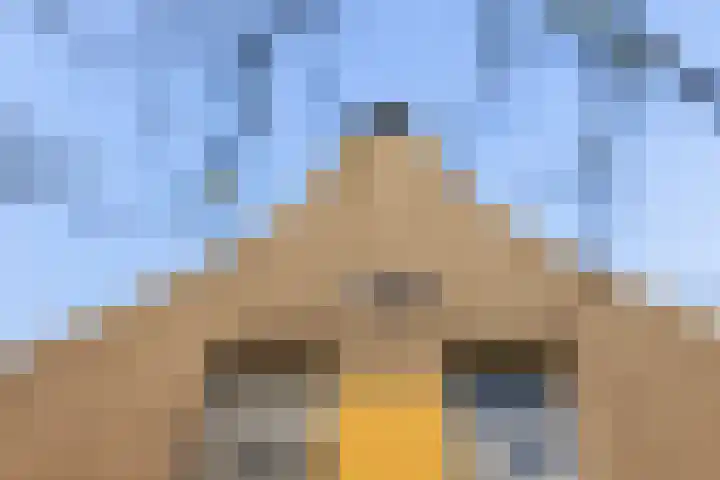 Lange Hoek 1 Elahuizen thumbnail 46