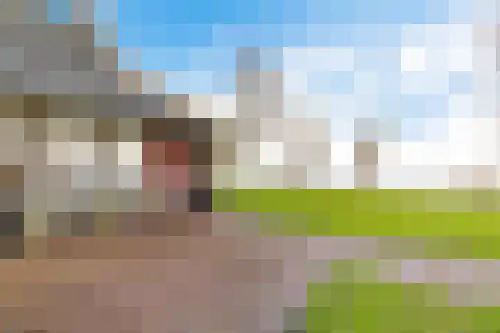 Lange Hoek 1 Elahuizen thumbnail 49