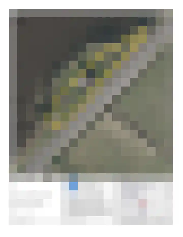 Lange Hoek 1 Elahuizen thumbnail 58