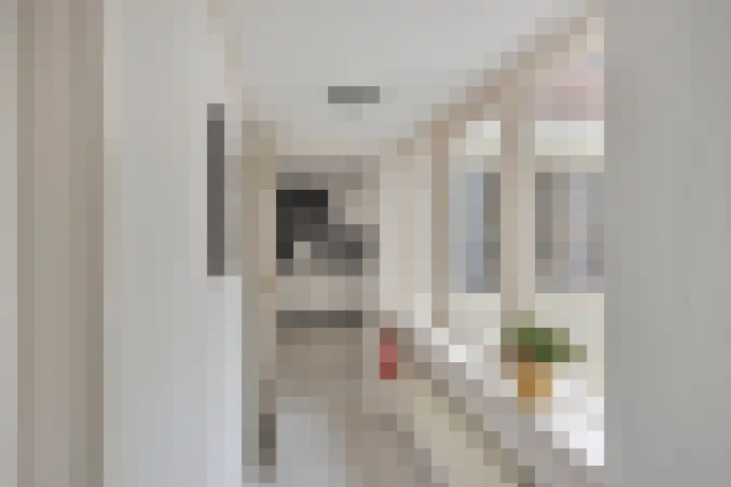 Lange Hofstraat 14 Zutphen thumbnail 19