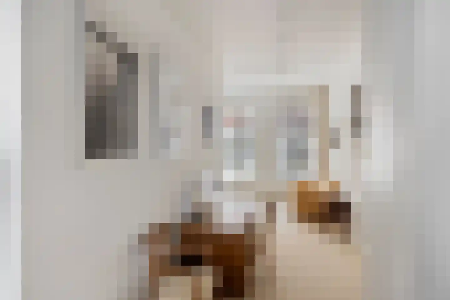 Lange Hofstraat 14 Zutphen thumbnail 34