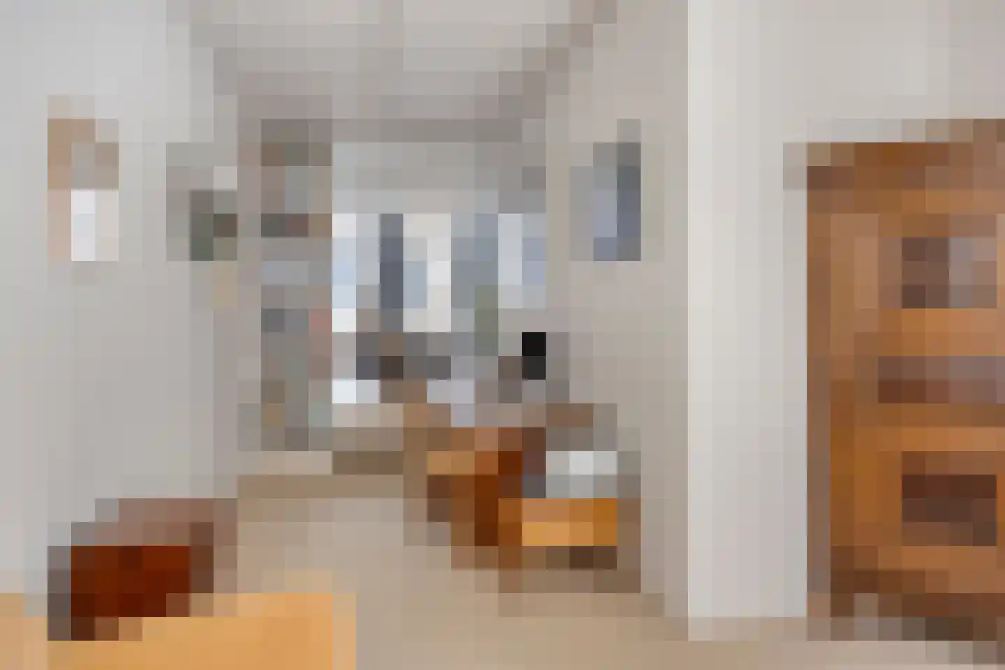 Lange Hofstraat 14 Zutphen thumbnail 36