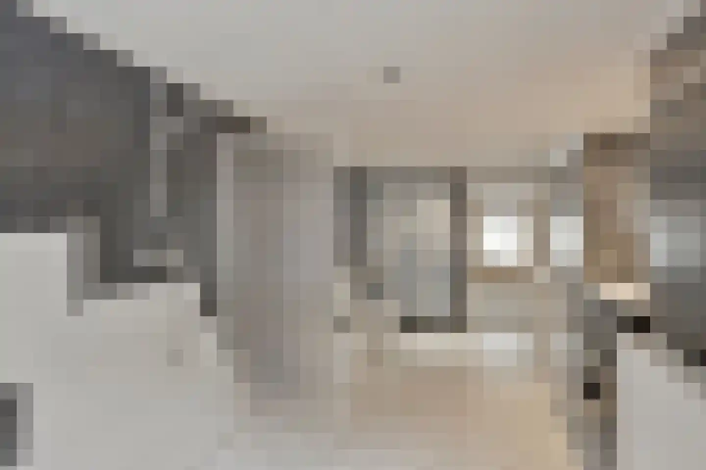Lange Hofstraat 14 Zutphen thumbnail 47
