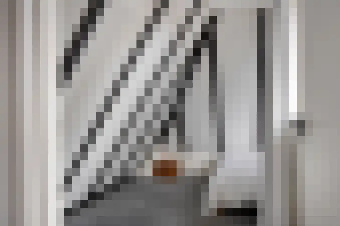 Lange Hofstraat 14 Zutphen thumbnail 49