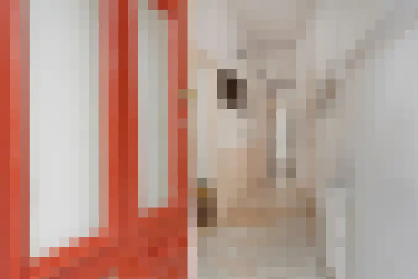 Lange Hofstraat 14 Zutphen thumbnail 5