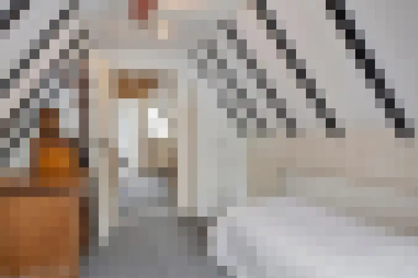 Lange Hofstraat 14 Zutphen thumbnail 54