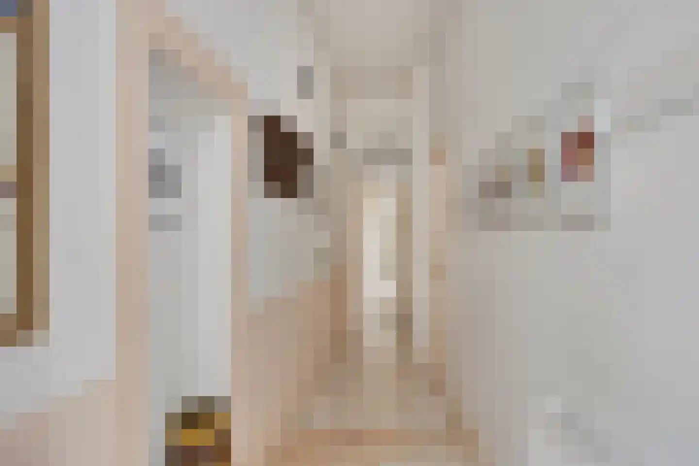 Lange Hofstraat 14 Zutphen thumbnail 7