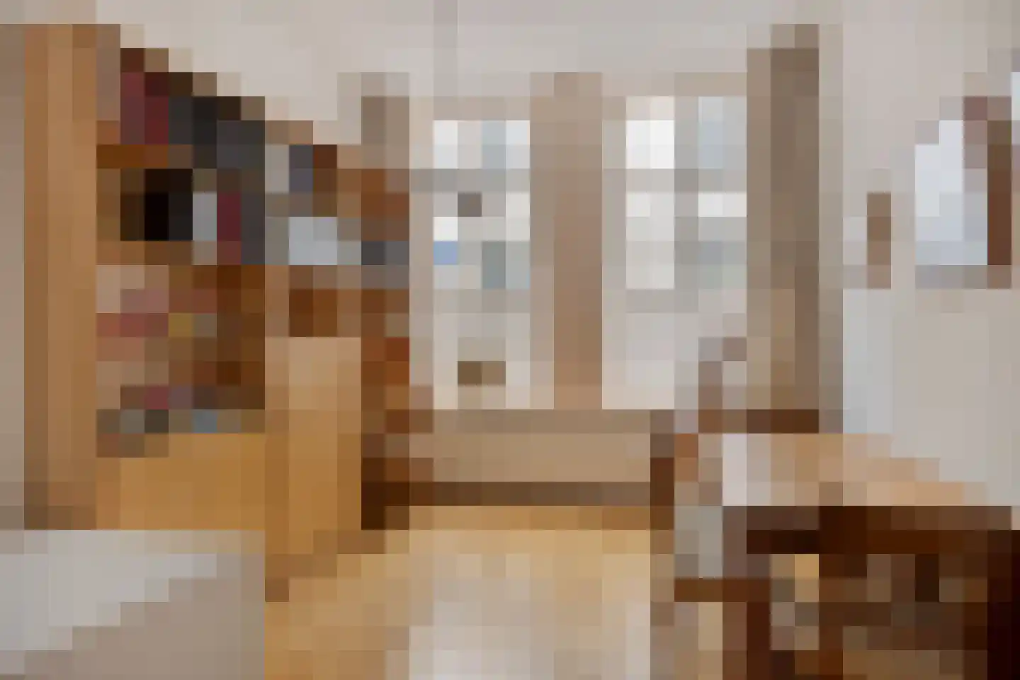 Lange Hofstraat 14 Zutphen thumbnail 8