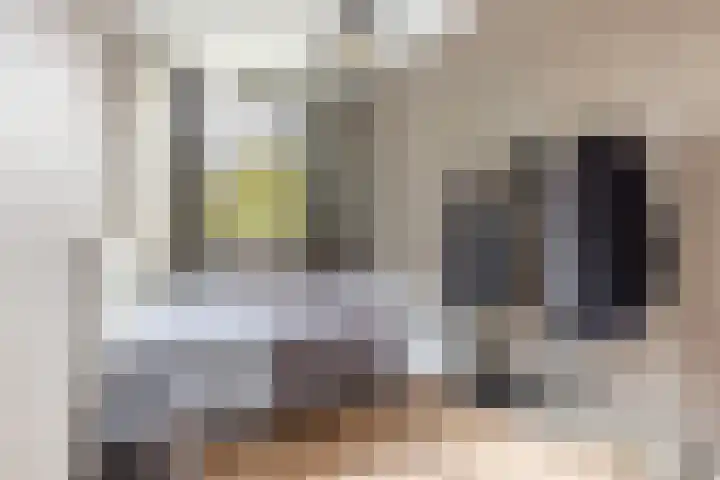 Lange Hofstraat 21 Haarlem thumbnail 21