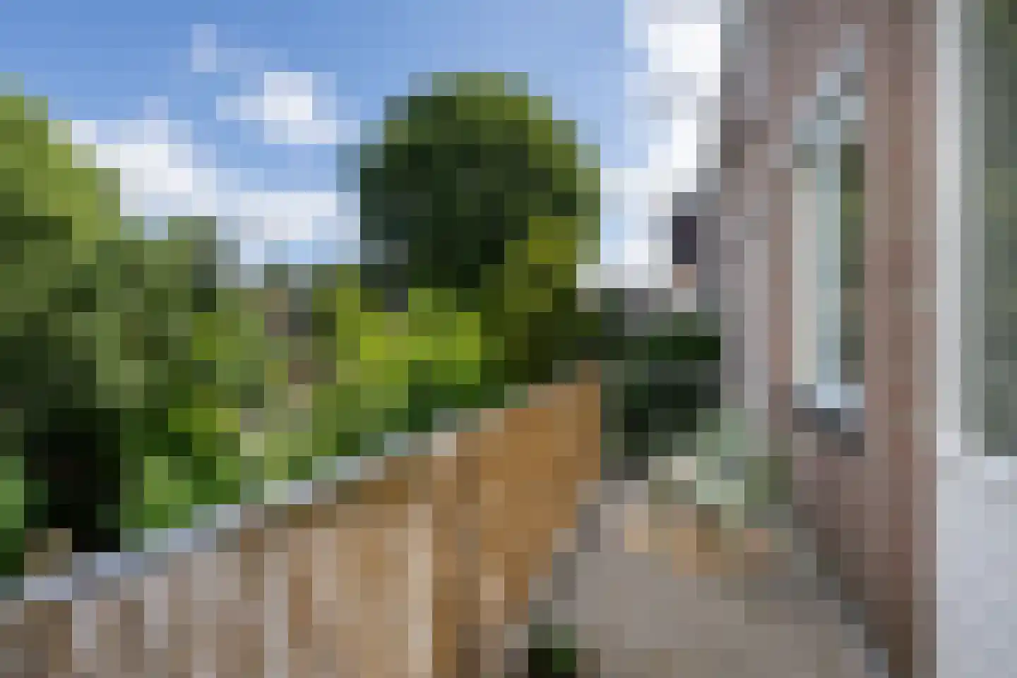 Lange Hofstraat 7 Haarlem thumbnail 12