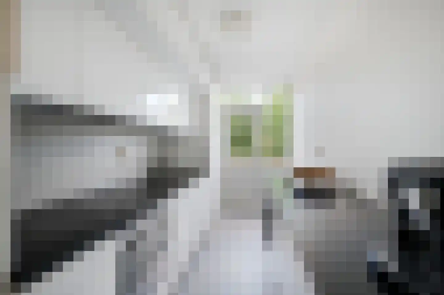 Lange Hofstraat 7 Haarlem thumbnail 9