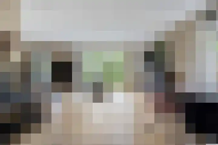 Lange Hout 13 Assen thumbnail 11
