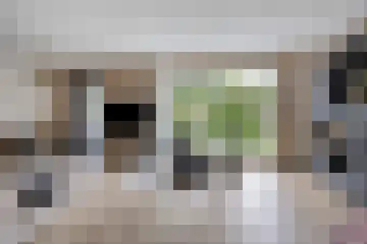 Lange Hout 13 Assen thumbnail 12