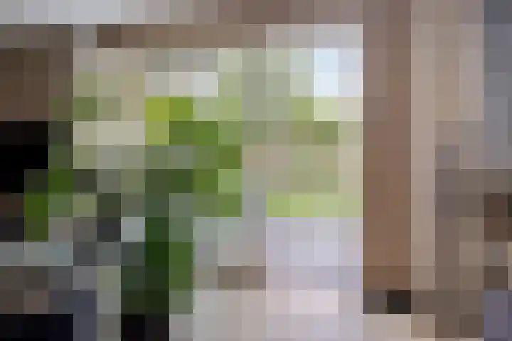 Lange Hout 13 Assen thumbnail 14