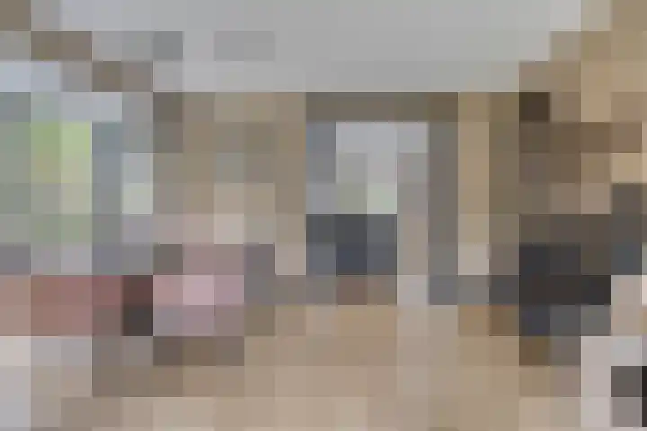 Lange Hout 13 Assen thumbnail 16