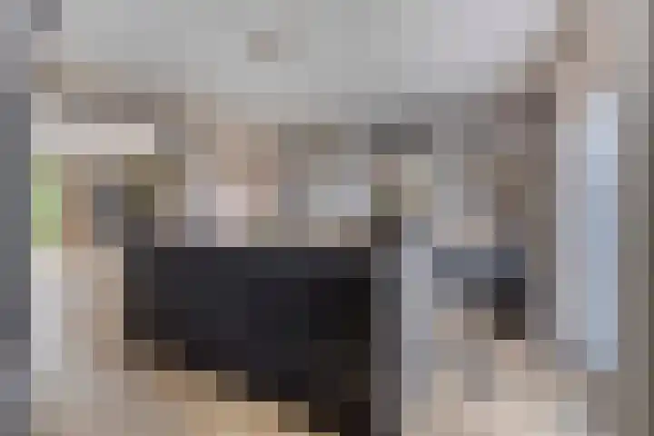 Lange Hout 13 Assen thumbnail 23