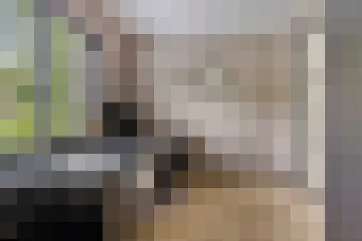 Lange Hout 13 Assen thumbnail 26