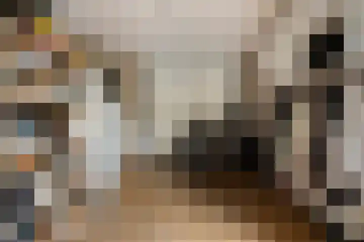 Lange Hout 13 Assen thumbnail 28