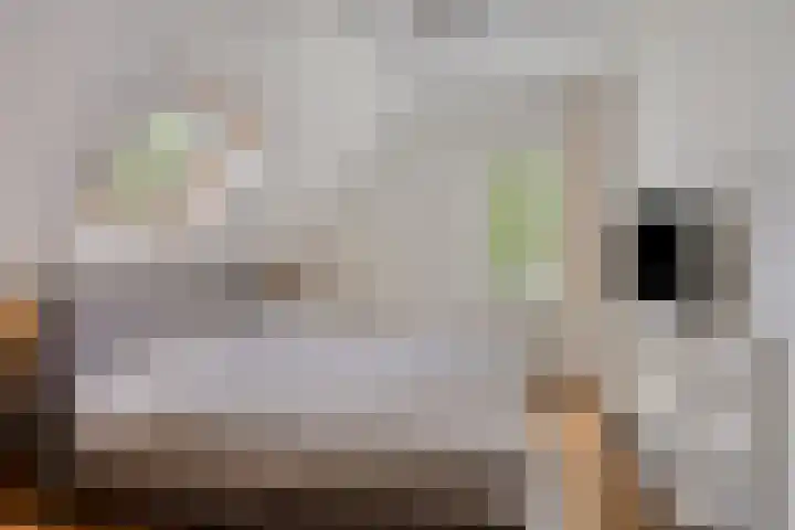 Lange Hout 13 Assen thumbnail 34