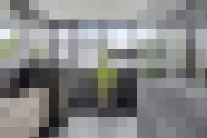 Lange Hout 13 Assen thumbnail 36