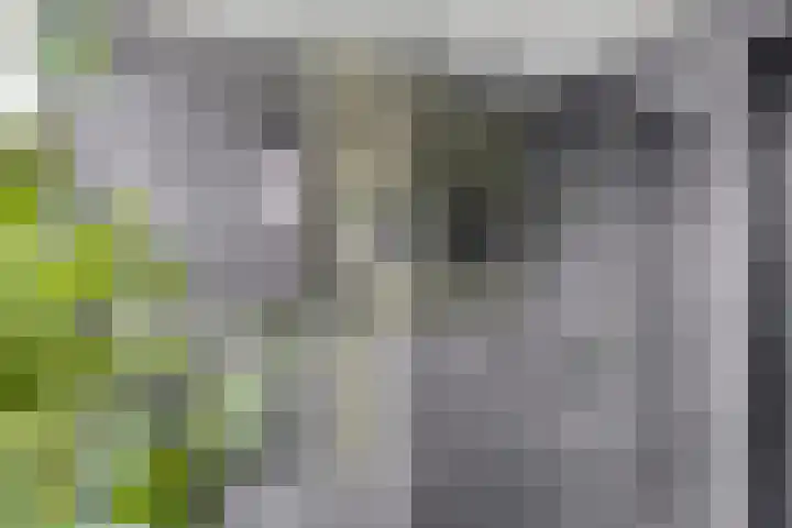 Lange Hout 13 Assen thumbnail 37