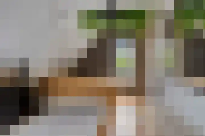 Lange Hout 13 Assen thumbnail 45