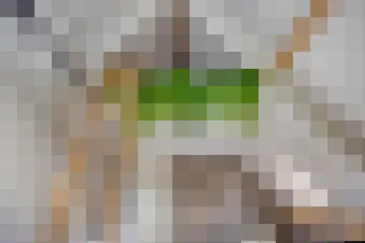 Lange Hout 13 Assen thumbnail 46