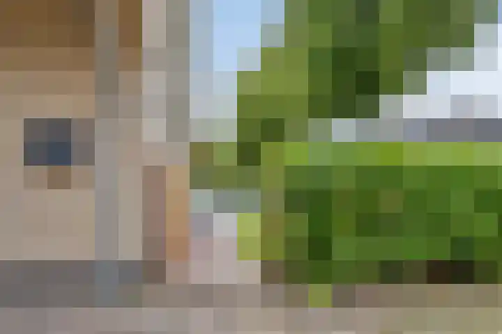 Lange Hout 13 Assen thumbnail 48