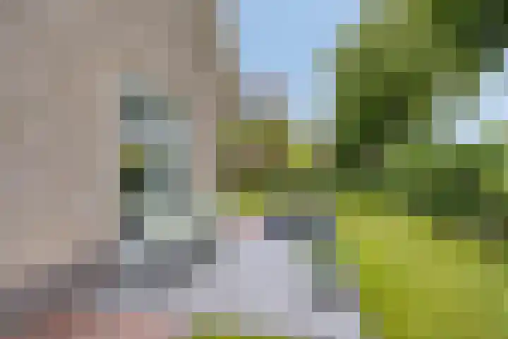 Lange Hout 13 Assen thumbnail 49