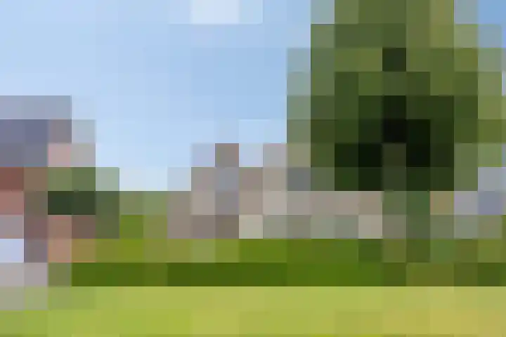 Lange Hout 13 Assen thumbnail 5