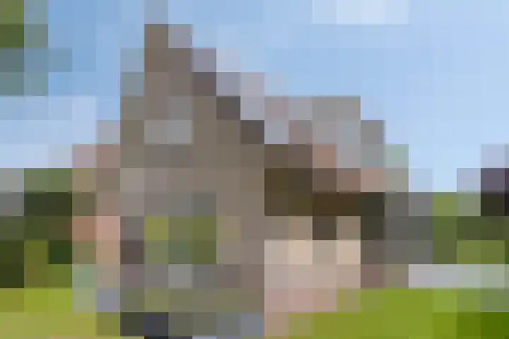 Lange Hout 13 Assen thumbnail 50