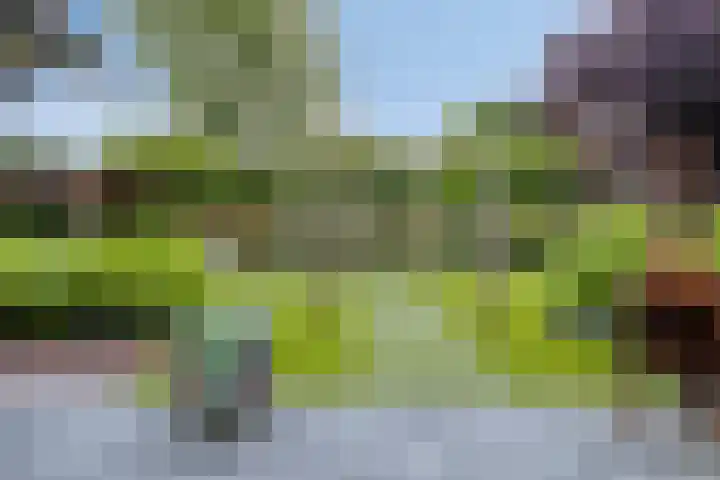 Lange Hout 13 Assen thumbnail 52