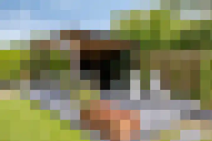 Lange Hout 13 Assen thumbnail 53