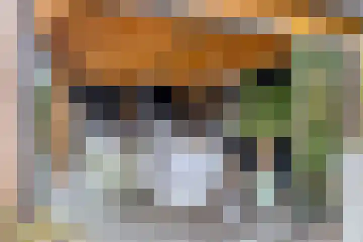 Lange Hout 13 Assen thumbnail 54