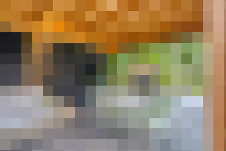 Lange Hout 13 Assen thumbnail 56