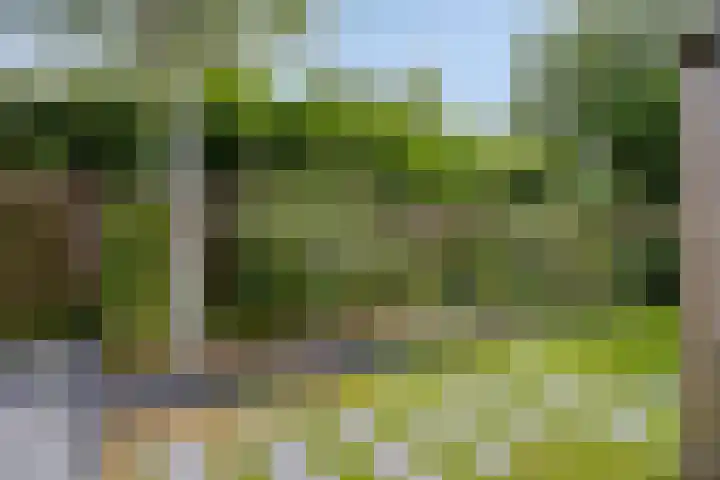 Lange Hout 13 Assen thumbnail 58