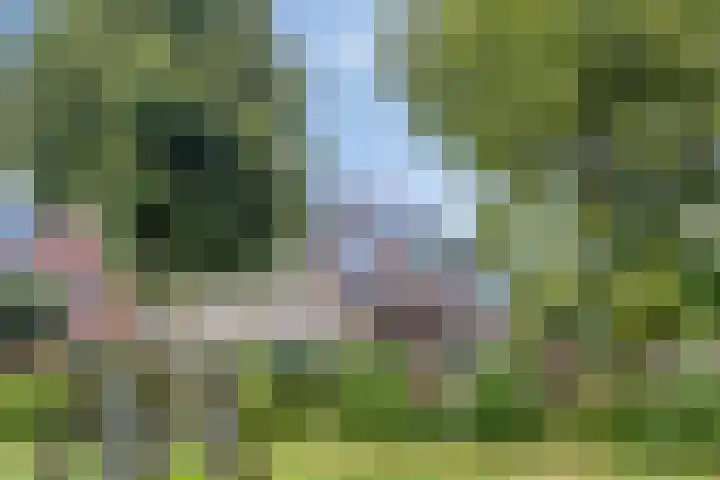 Lange Hout 13 Assen thumbnail 6