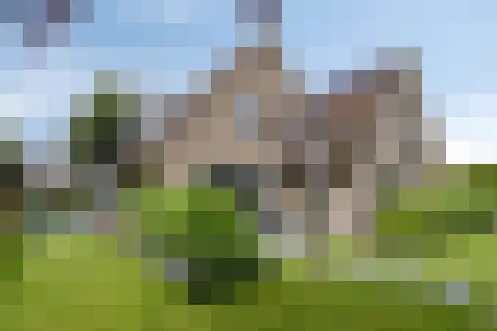 Lange Hout 13 Assen thumbnail 60