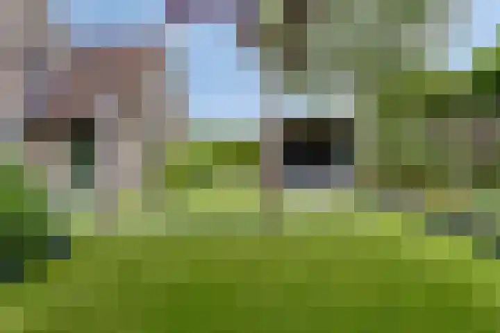 Lange Hout 13 Assen thumbnail 61