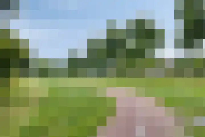 Lange Hout 13 Assen thumbnail 65