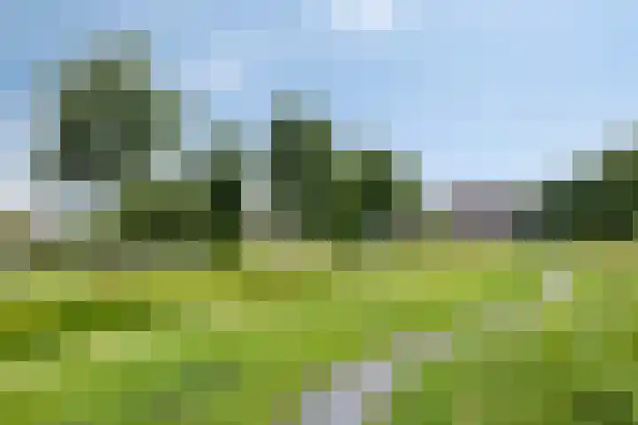 Lange Hout 13 Assen thumbnail 66