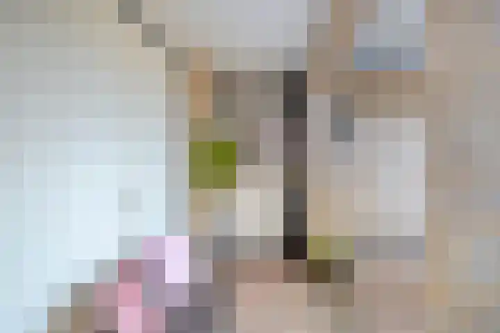 Lange Hout 13 Assen thumbnail 7