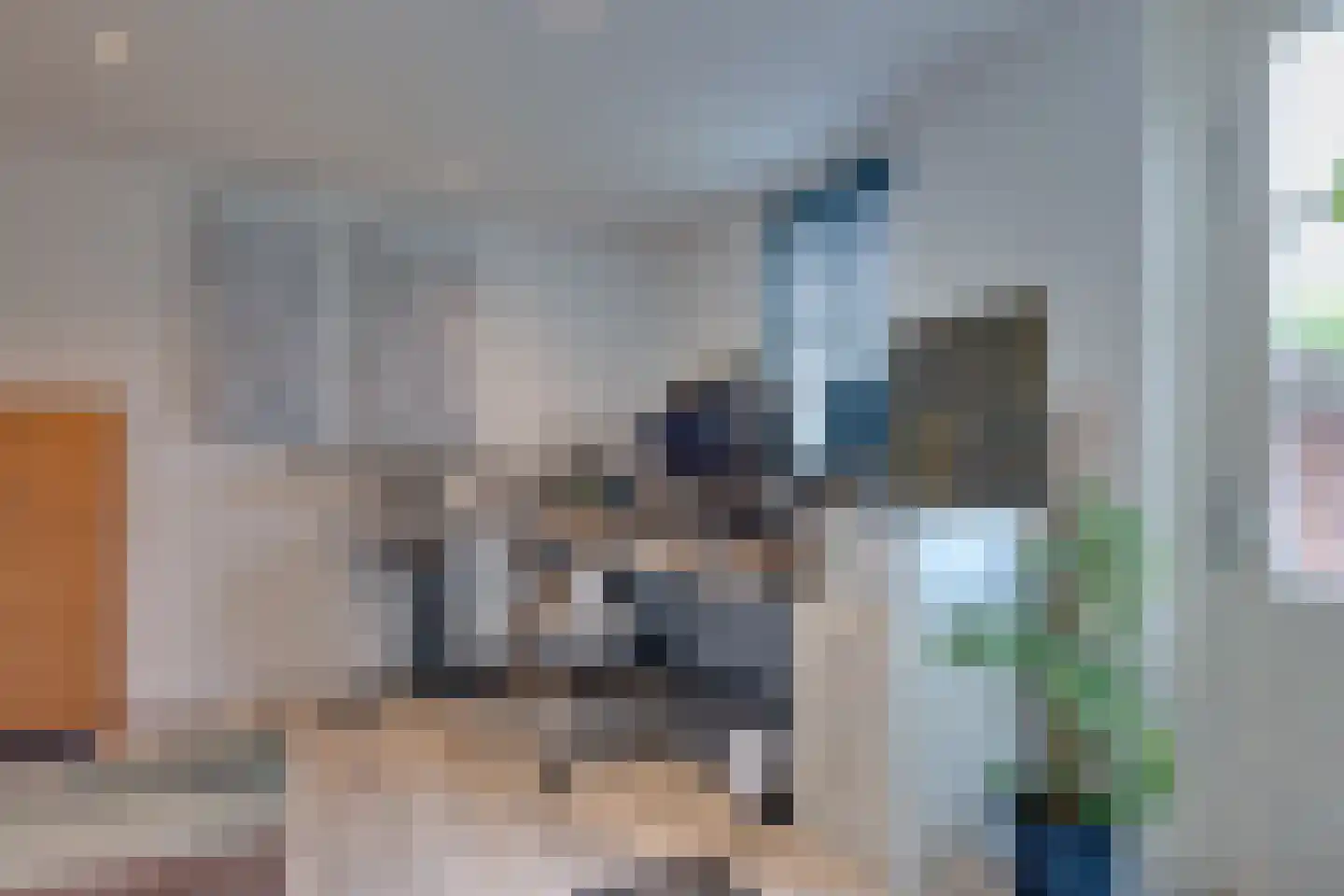 Lange Hout 22 Assen thumbnail 20
